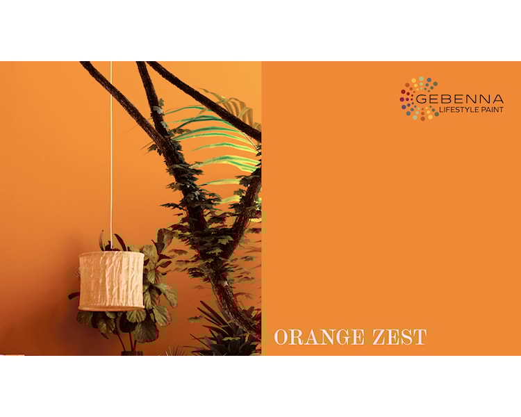 ORANGE ZEST ny
